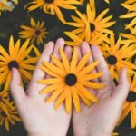 Close-up of hands holding vibrant yellow daisies, showcasing natural beauty and floral pattern.